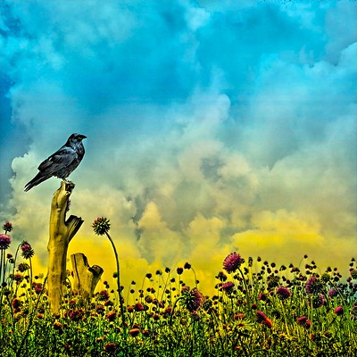 "Stratford Ontario ~ Canada ~ Bird & Flowers ~ Shakespearean Garden Botanical ~ Heritage" by Onasill - Bill Badzo - 149 Million Views - Thank Y is marked with Public Domain Mark 1.0. Heilpflanzen in der Ökoponik